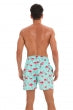 Men's Flamingo Print Swim Trunks with Draw String Waist