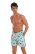 Men's Flamingo Print Swim Trunks with Draw String Waist